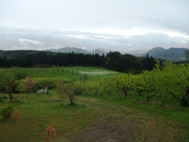 c0062603_03522327.jpg