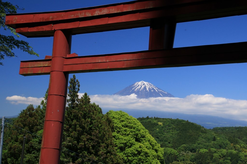 新緑と富士山～１_a0188405_22310512.jpg