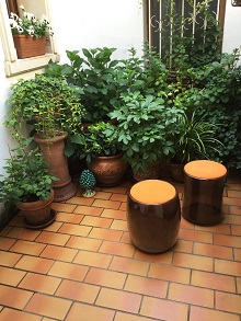 The top 10 chairs for public spaces~注目の10脚?!_d0091909_16542915.jpg
