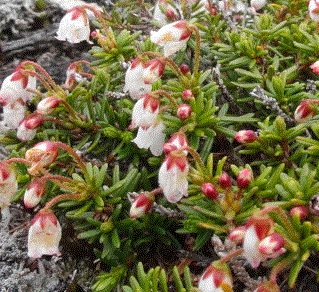 f0231709_21571426.gif