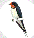 f0231709_9255173.gif