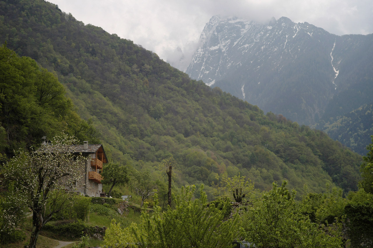 d0104210_624052.jpg
