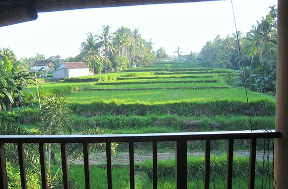 f0032812_20242668.jpg