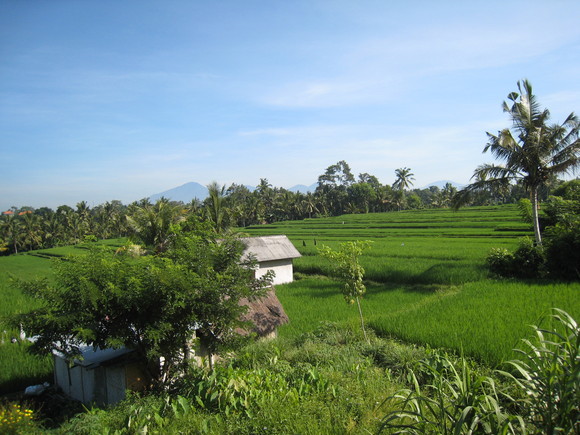 f0032812_2046201.jpg