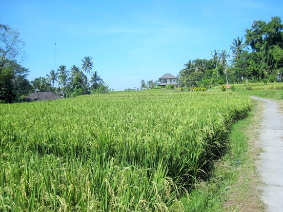 f0032812_2053456.jpg