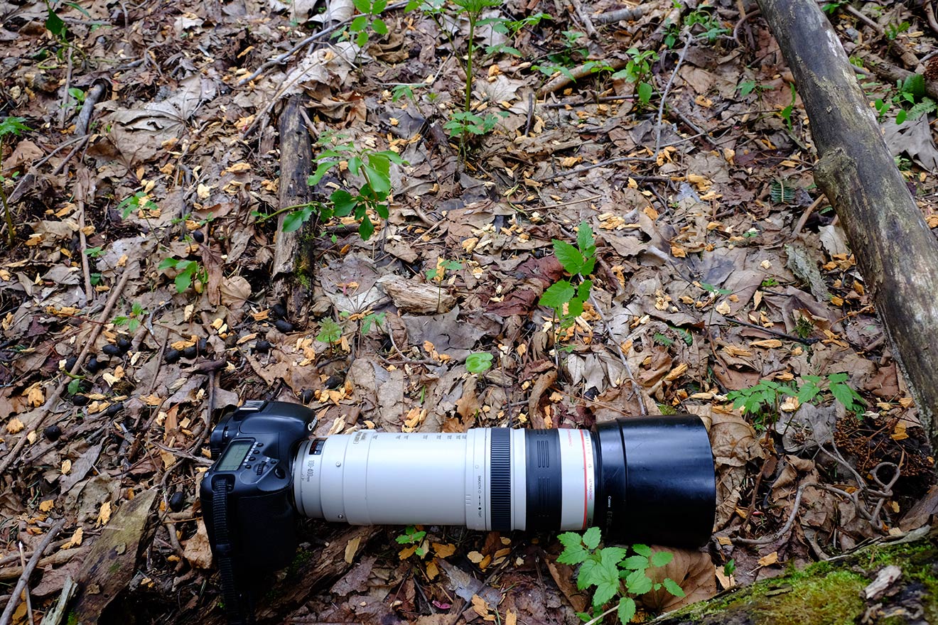 b0189415_22104190.jpg
