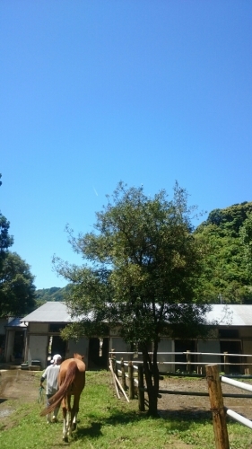 b0187620_22054325.jpg