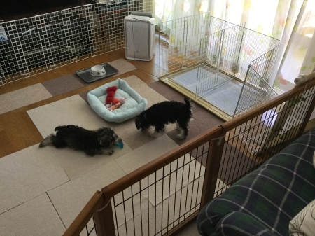 b0357221_19494369.jpeg