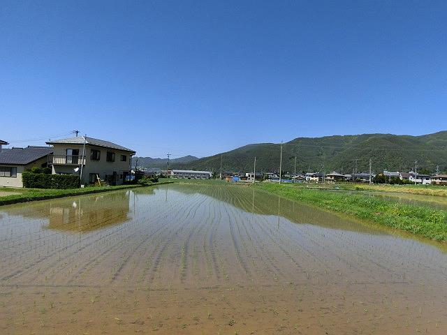 e0234924_19042369.jpg