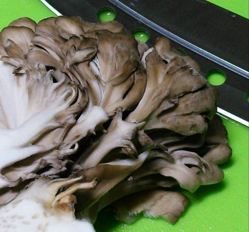 a0167335_21001460.jpg