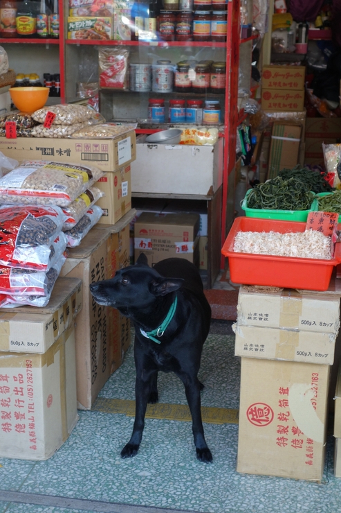 台湾へ行きタイワーン 3日目 6~油化街_a0287336_0215152.jpg