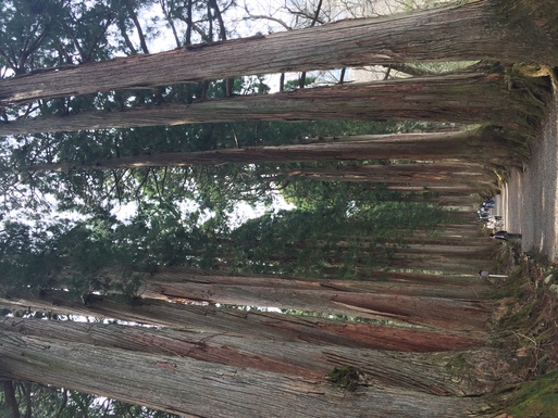 長野の旅3〈戸隠神社〉_c0134939_12354058.jpg