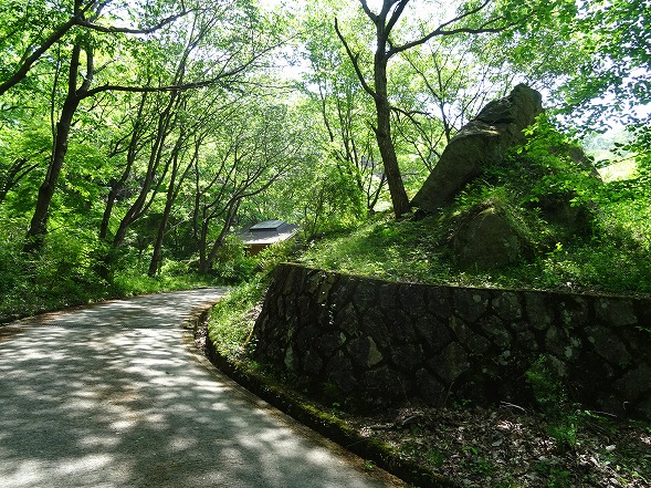 b0299042_04090.jpg