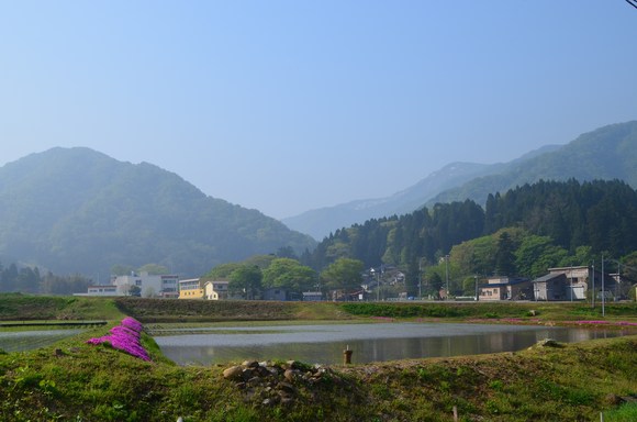 薫風爽やか_c0202242_14385234.jpg