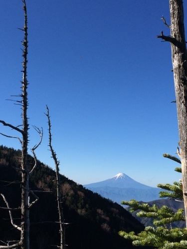 5月12日の日記_c0369344_10153232.jpeg