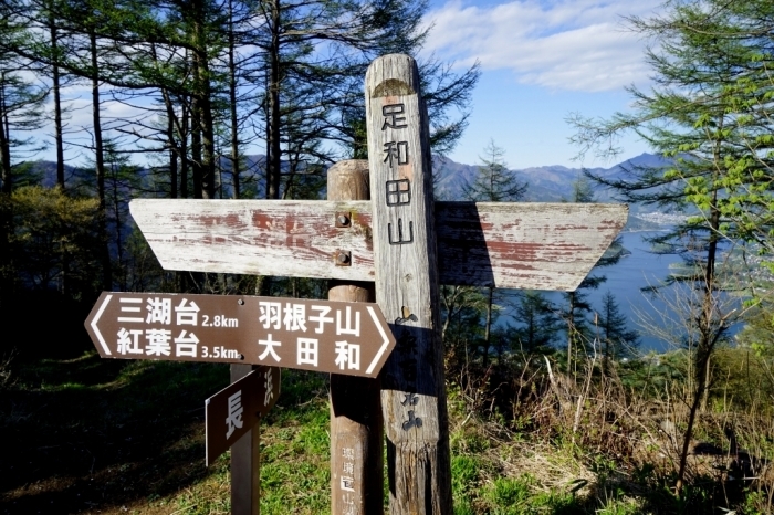 山友と巡る山梨百名山ツーリング＠足和田山　2016.04.29(金)_f0344554_21054807.jpg