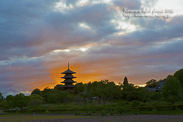 備中国分寺の夕景　5/11_f0324756_9463673.jpg