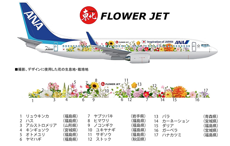 ANAの特別塗装機「東北FLOWER JET」が2016年5月14日から就航へ : Air