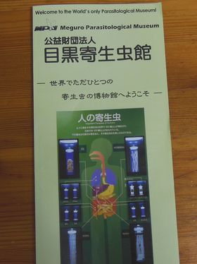 ちっちゃいものクラブ？　なが～いものクラブ？_c0011365_1611922.jpg