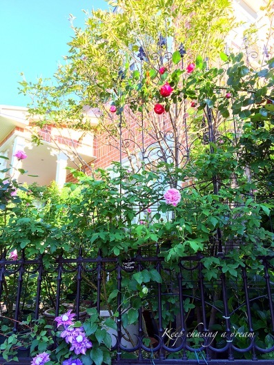 c0369367_08490950.jpg