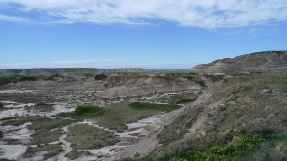 d0193569_17511613.jpg