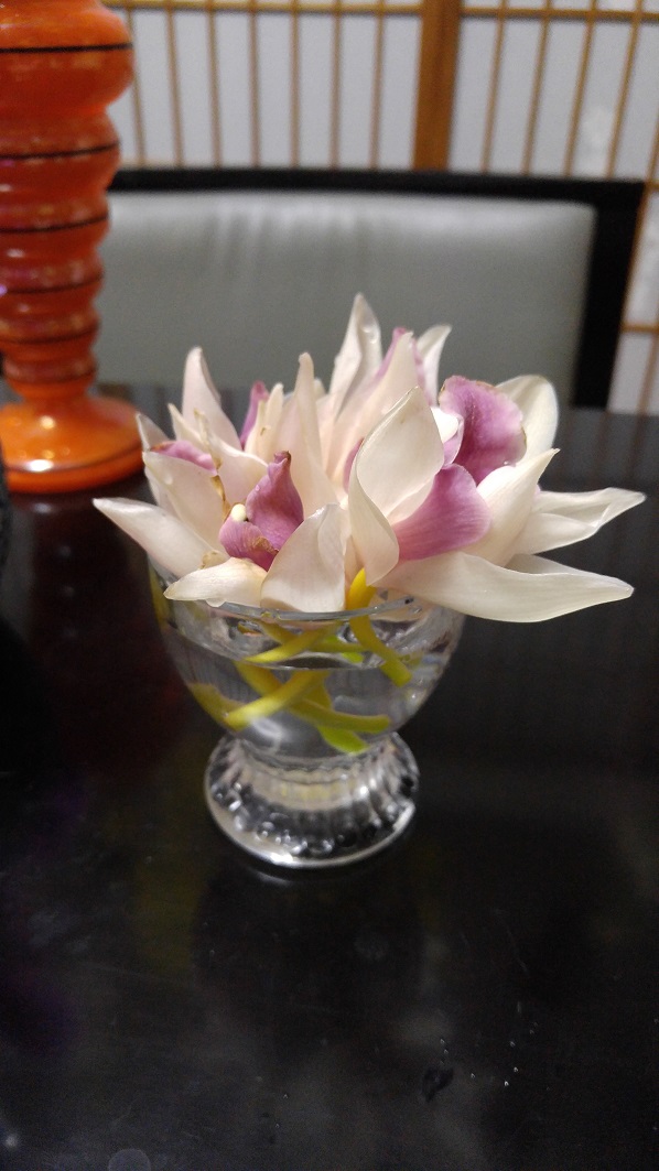 花を長持ちさせる_b0019674_2315679.jpg