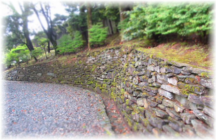 一万本のさつき・・・♪_d0175974_2010215.jpg