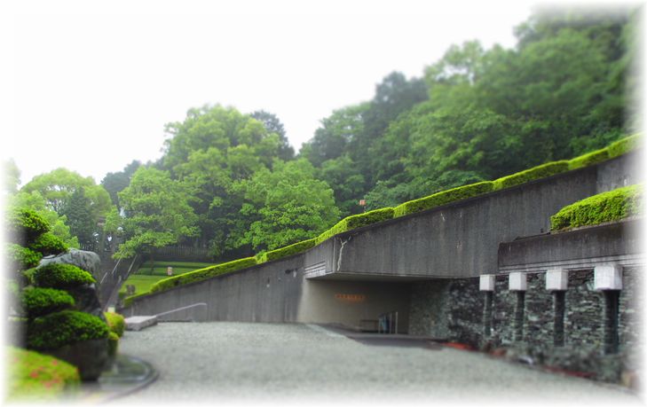 一万本のさつき・・・♪_d0175974_20102356.jpg