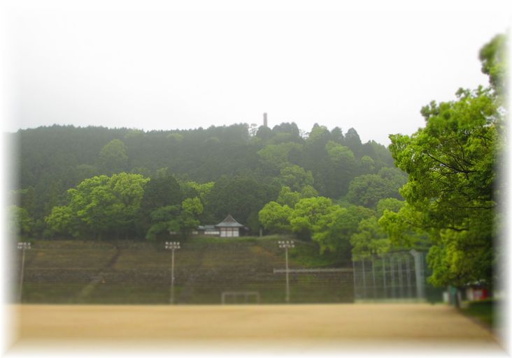 一万本のさつき・・・♪_d0175974_2013762.jpg