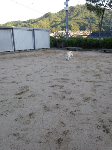 f0315081_18375219.jpeg