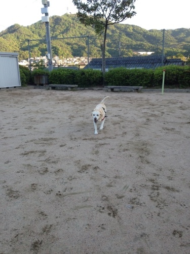 f0315081_18381455.jpeg