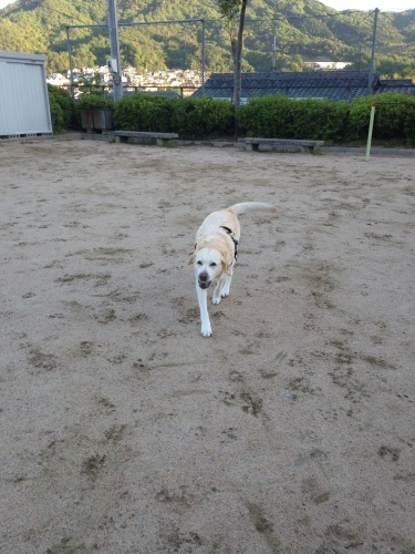 f0315081_18384044.jpeg