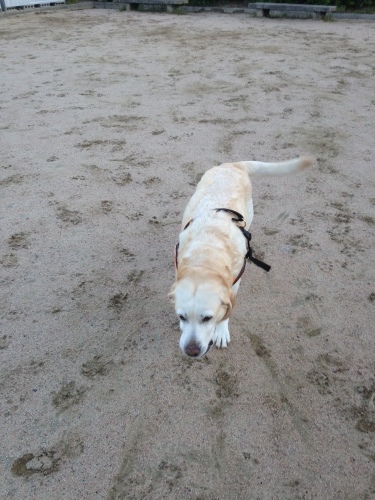 f0315081_18390819.jpeg