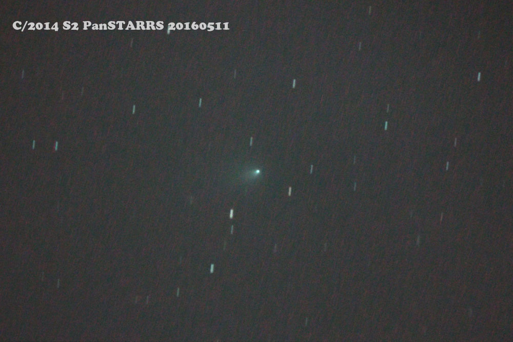 今どきの彗星　5/11_b0163788_18184399.jpg