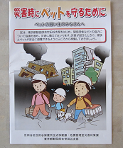 f0234590_955267.png