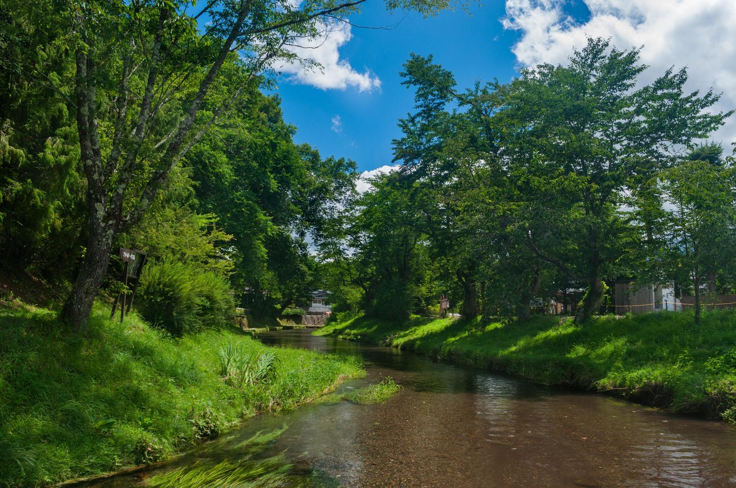 虫の嫌がる素材「スコーロン」！！