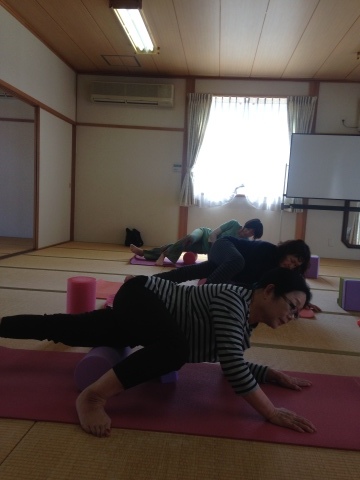 d0157497_16200639.jpeg