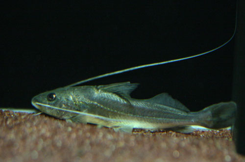 c0165800_0164654.jpg