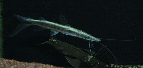 c0165800_0232236.jpg