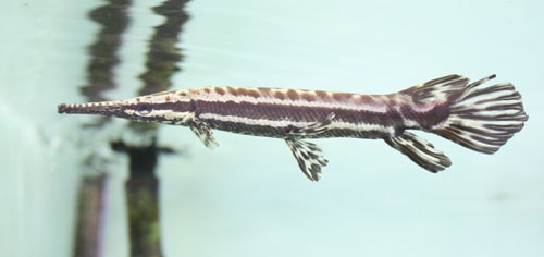 c0165800_0445619.jpg