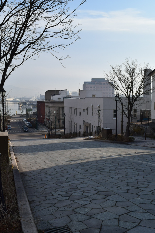 函館末広町の旧百十三銀行本店(建築家・関根要太郎函館作品再訪、その4)_f0142606_534577.jpg
