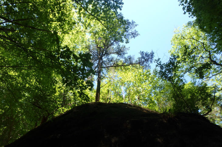a0335310_22085320.jpg