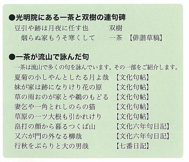 「母になるなら、流山市」で小林一茶ゆかりの「一茶双樹記念館」_f0141310_749767.jpg