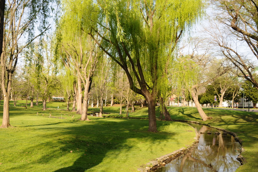 2016年5月 『新緑の北海道大学』　May 2016 \"in the Campus of Hokkaido University\"_c0219616_12511472.jpg