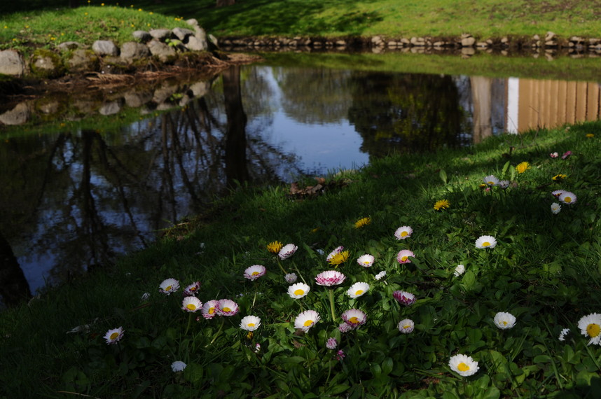 2016年5月 『新緑の北海道大学』 May 2016 \"in the Campus of Hokkaido University\"_c0219616_1323785.jpg