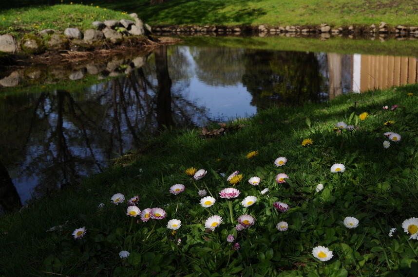 2016年5月 『新緑の北海道大学』　May 2016 \"in the Campus of Hokkaido University\"_c0219616_1323785.jpg