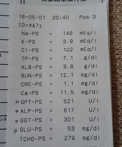 再検査の結果_e0190220_2131412.jpg