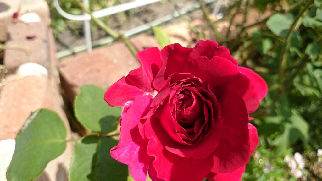 e0263224_14105499.jpg
