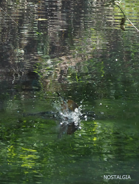 e0255927_146267.jpg