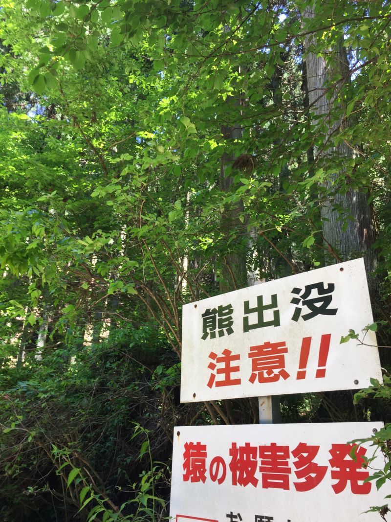 サンマルRの咆哮_f0076731_22544875.jpg